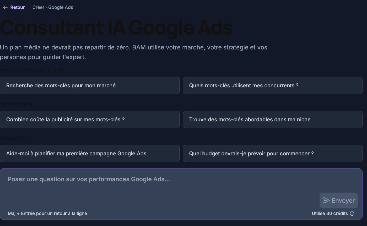 L'Expert Google Ads de BAM : questions suggérées de mots-clés, de tarification et de stratégie, et zone de demande
